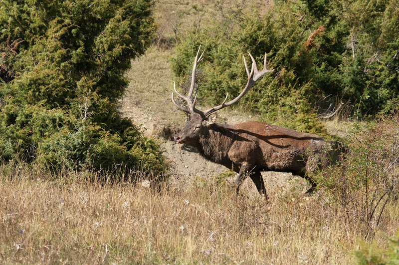 Un''arena molto contesa